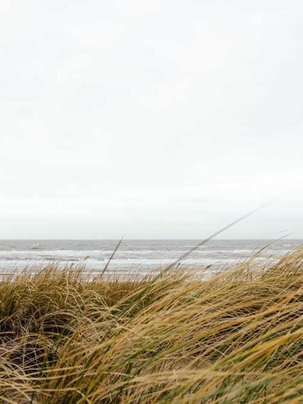 Striped Casual Shirt
